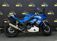 Мотоцикл RIDER IRON 250CC