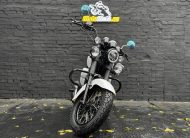 Мотоцикл RIDER RENEGADE 250