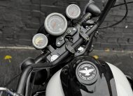 Мотоцикл RIDER RENEGADE 250